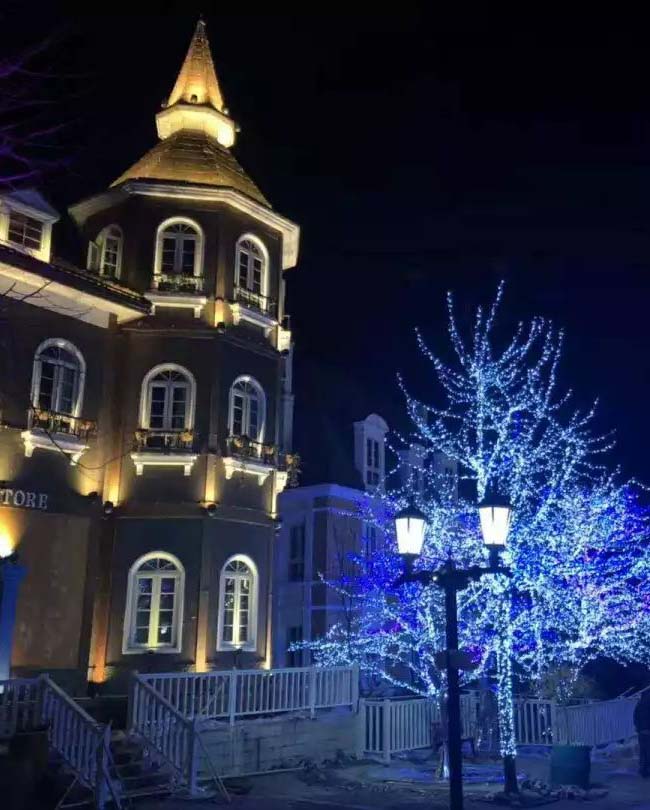 吉林省松原小鎮(zhèn)亮化案例 吉林省松原小鎮(zhèn)亮化案例